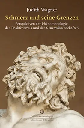 Wagner | Schmerz und seine Grenzen | E-Book | www2.sack.de