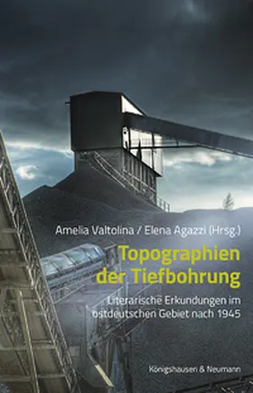 Valtolina / Agazzi |  Topographien der Tiefbohrung | Buch |  Sack Fachmedien