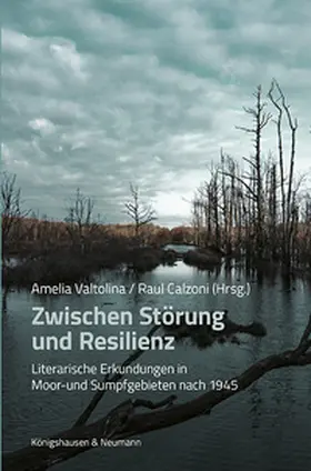 Valtolina / Calzoni |  Zwischen Störung und Resilienz | Buch |  Sack Fachmedien