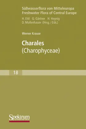 Krause |  Süßwasserflora von Mitteleuropa, Bd. 18: Charales | Buch |  Sack Fachmedien