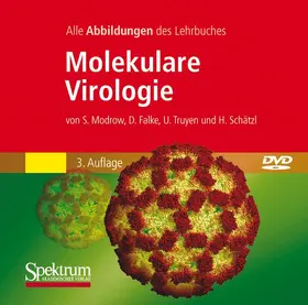 Modrow / Falke |  Molekulare Virologie | Sonstiges |  Sack Fachmedien