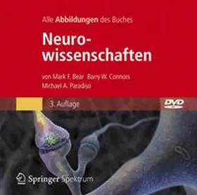 Bear / Connors / Paradiso |  Bild-DVD, Neurowissenschaften | Sonstiges |  Sack Fachmedien