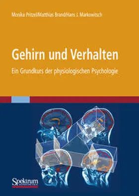 Pritzel / Brand / Markowitsch |  Gehirn und Verhalten | eBook | Sack Fachmedien