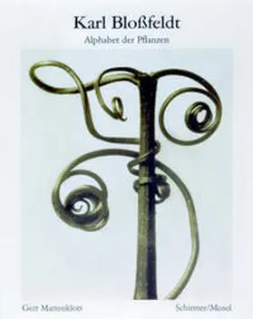 Bloßfeldt |  Alphabet der Pflanzen | Buch |  Sack Fachmedien