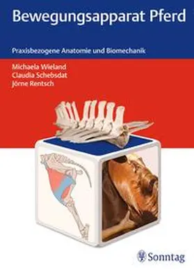 Wieland / Schebsdat / Rentsch |  Bewegungsapparat Pferd | Buch |  Sack Fachmedien