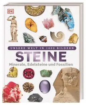 Green |  Steine | Buch |  Sack Fachmedien