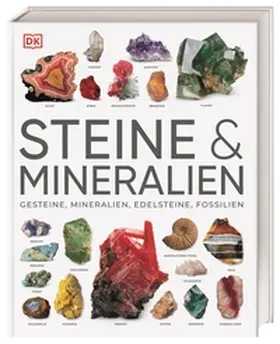 Bonewitz |  Steine & Mineralien | Buch |  Sack Fachmedien