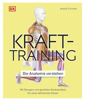 Current |  Krafttraining – Die Anatomie verstehen | eBook | Sack Fachmedien