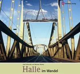 Richey / Schmuhl |  Halle im Wandel | Buch |  Sack Fachmedien