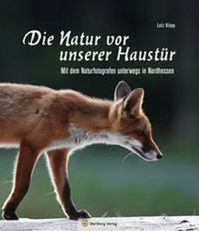 Klapp |  Nordhessen - Die Natur vor unserer Haustür | Buch |  Sack Fachmedien