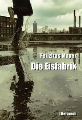 Mayer |  Die Eisfabrik | Buch |  Sack Fachmedien