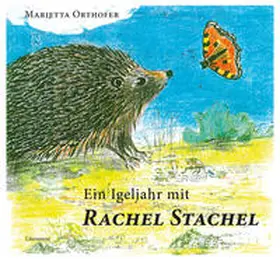 Orthofer |  Ein Igeljahr mit Rachel Stachel | Buch |  Sack Fachmedien