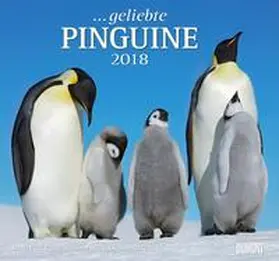  Geliebte Pinguine 2018 - DuMont Wandkalender - mit den wichtigsten Feiertagen - Format 38,0 x 35,5 cm | Sonstiges |  Sack Fachmedien