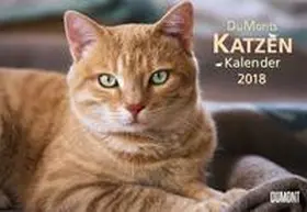  DuMonts Katzenkalender 2018 - Broschürenkalender - Wandkalender - mit Schulferienterminen - Format 42 x 29 cm | Sonstiges |  Sack Fachmedien