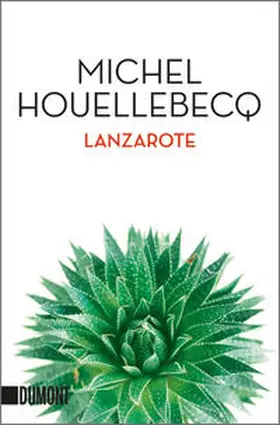 Houellebecq |  Lanzarote | Buch |  Sack Fachmedien