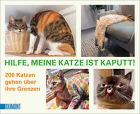  Hilfe, meine Katze ist kaputt | Buch |  Sack Fachmedien