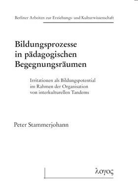 Stammerjohann |  Bildungsprozesse in pädagogischen Begegnungsräumen | Buch |  Sack Fachmedien