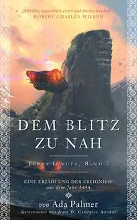 Palmer | Dem Blitz zu nah | Buch | 978-3-8332-4097-3 | www2.sack.de