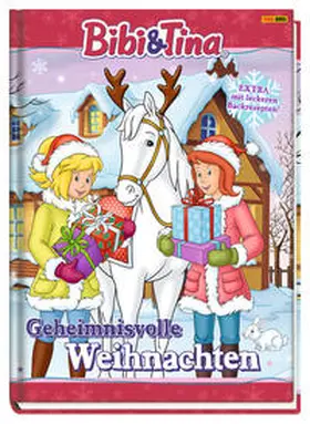 Weber |  Bibi & Tina: Geheimnisvolle Weihnachten | Buch |  Sack Fachmedien