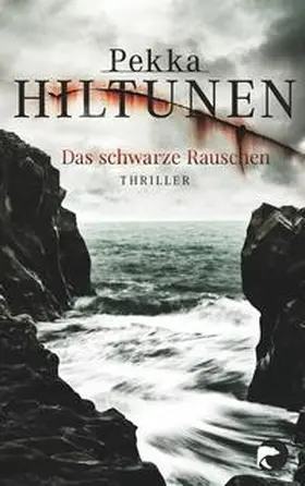 Hiltunen |  Das schwarze Rauschen | Buch |  Sack Fachmedien
