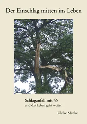 Menke |  Der Einschlag mitten ins Leben | Buch |  Sack Fachmedien