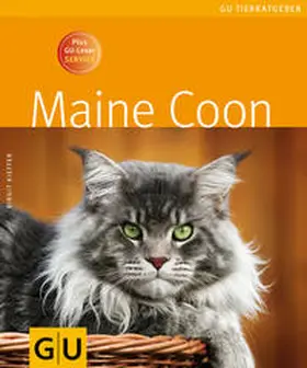 Kieffer |  Maine Coon | Buch |  Sack Fachmedien