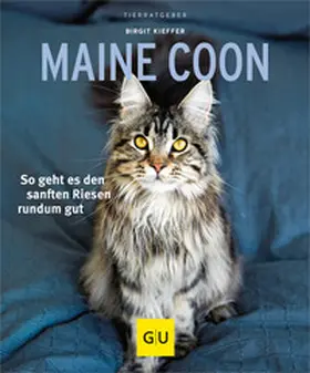 Kieffer |  Maine Coon | Buch |  Sack Fachmedien