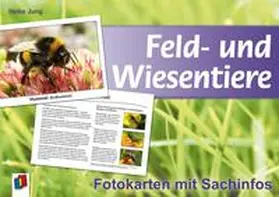 Jung |  Feld- und Wiesentiere - Fotokarten mit Sachinfos | Sonstiges |  Sack Fachmedien