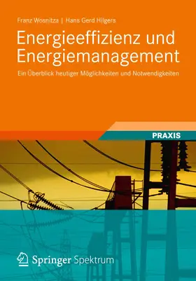 Hilgers / Wosnitza |  Energieeffizienz und Energiemanagement | Buch |  Sack Fachmedien