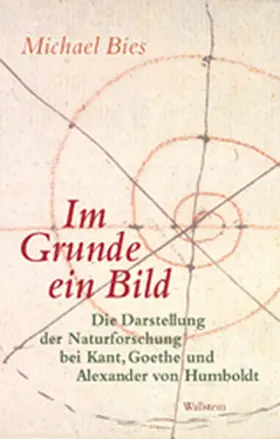 Bies |  Im Grunde ein Bild | Buch |  Sack Fachmedien