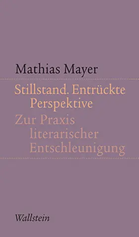 Mayer |  Stillstand. Entrückte Perspektive | Buch |  Sack Fachmedien