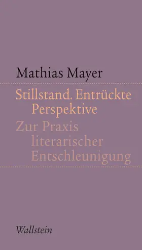 Mayer |  Stillstand. Entrückte Perspektive | eBook | Sack Fachmedien