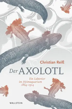 Reiß |  Der Axolotl | Buch |  Sack Fachmedien