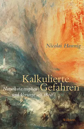 Hannig |  Kalkulierte Gefahren | Buch |  Sack Fachmedien