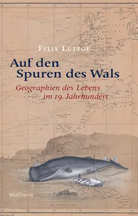 Lüttge |  Auf den Spuren des Wals | Buch |  Sack Fachmedien