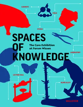 Allemeyer / Baur / Vogel |  Spaces of knowledge | Buch |  Sack Fachmedien