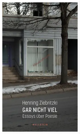 Ziebritzki |  Gar nicht viel | Buch |  Sack Fachmedien