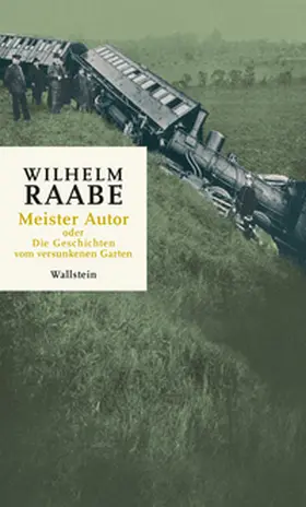Raabe / Göttsche |  Meister Autor | eBook | Sack Fachmedien