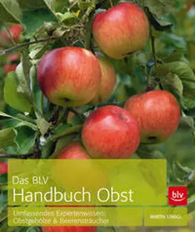 Das BLV Handbuch Obst | Buch |  Sack Fachmedien
