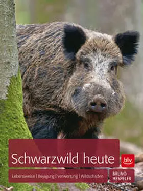 Hespeler | Schwarzwild heute | Buch | 978-3-8354-1430-3 | sack.de