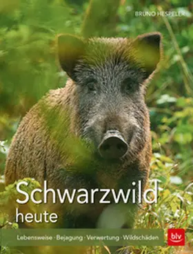 Hespeler |  Schwarzwild heute | Buch |  Sack Fachmedien