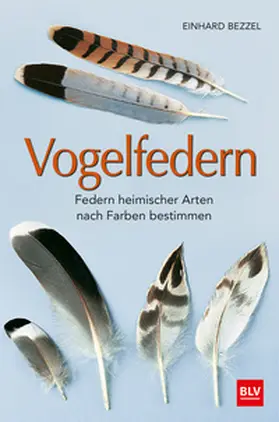 Bezzel |  Vogelfedern | Buch |  Sack Fachmedien
