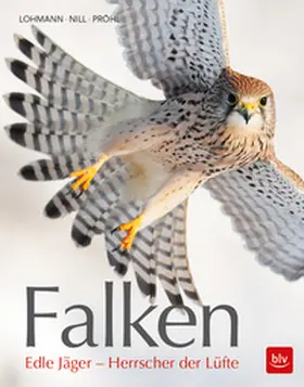 Lohmann |  Falken | Buch |  Sack Fachmedien