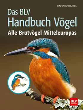 Bezzel |  Das BLV Handbuch Vögel | Buch |  Sack Fachmedien