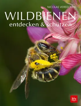 Vereecken |  Wildbienen entdecken & schützen | Buch |  Sack Fachmedien