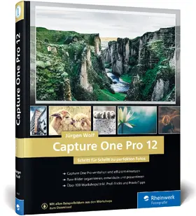 Wolf |  Capture One Pro 12 | Buch |  Sack Fachmedien