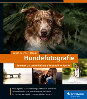 Bauer / Mehner / Stangl |  Hundefotografie | eBook | Sack Fachmedien