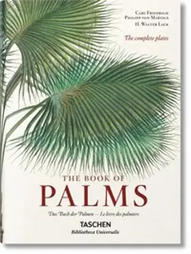Lack |  von Martius. The Book of Palms | Buch |  Sack Fachmedien