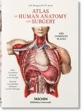 Minor / Sick |  Jean Marc Bourgery. Atlas of Human Anatomy and Surgery | Buch |  Sack Fachmedien