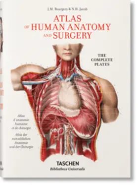 Sick / Le Minor |  Bourgery. Atlas de anatomía humana y cirugía | Buch |  Sack Fachmedien